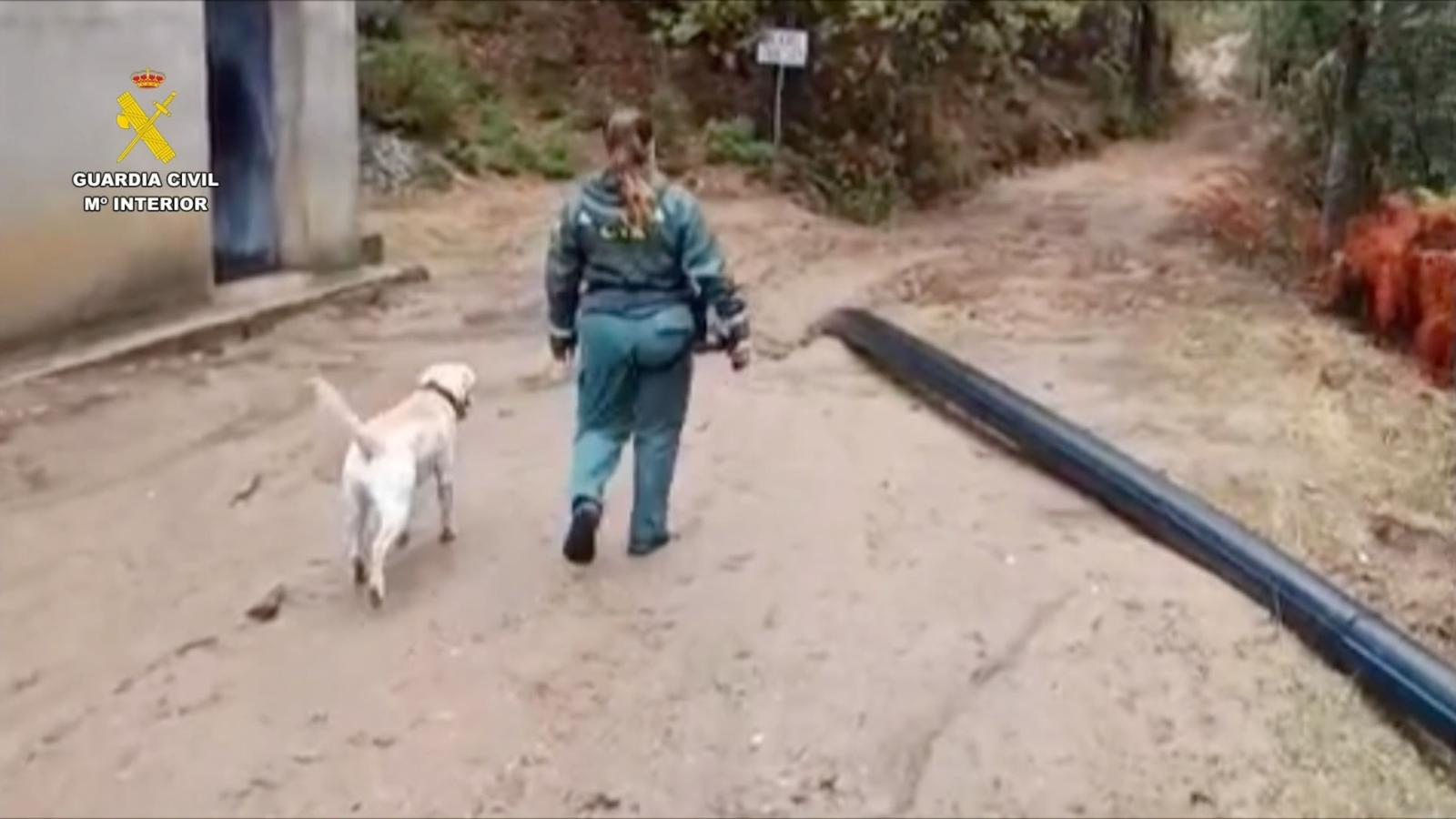 Unidad cinológica de la Guardia Civil durante la búsqueda de Salva, el hombre desaparecido en Losar de la Vera. 
