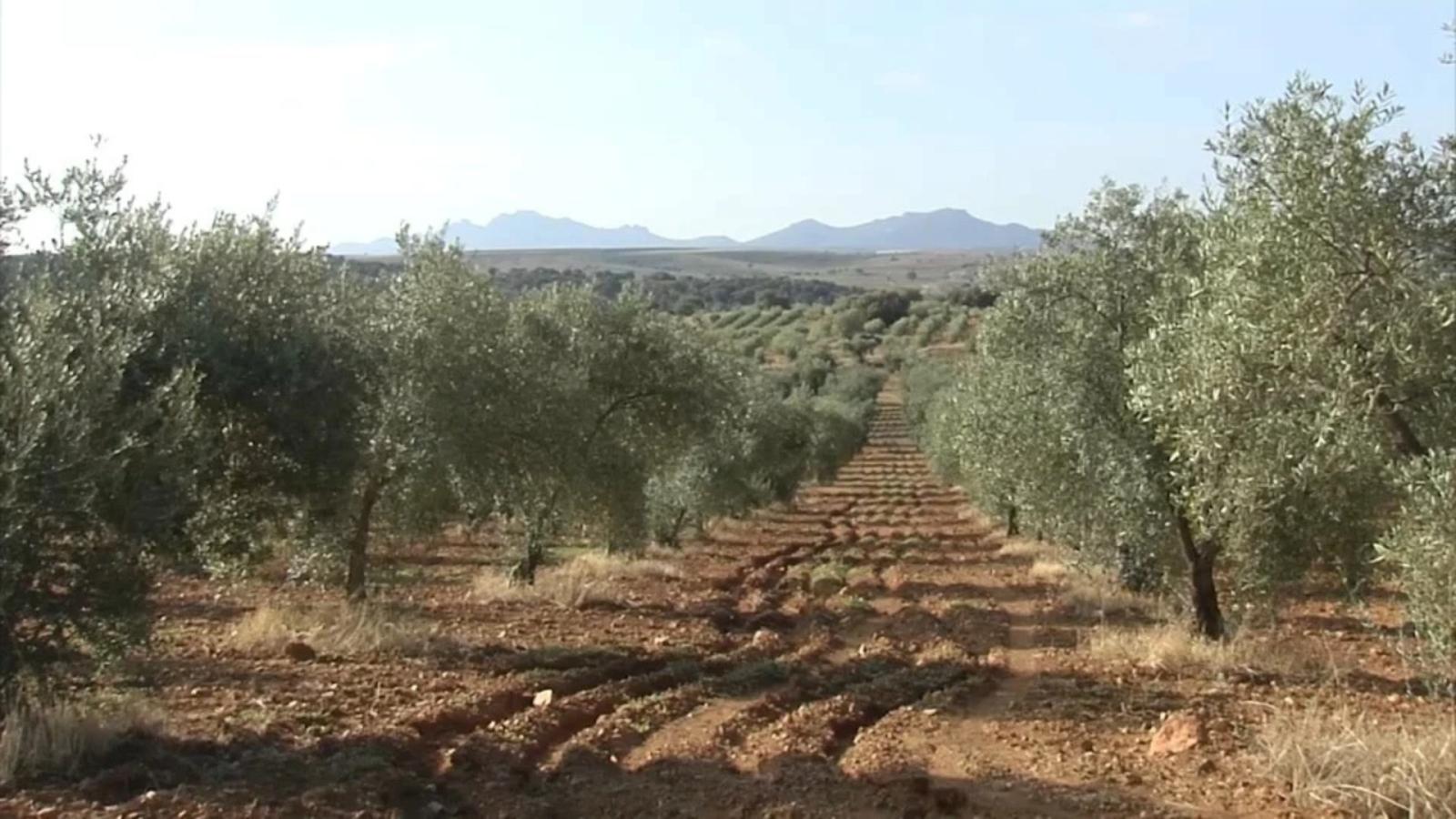 Agricultura