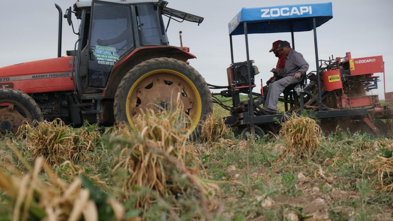 Rechazan en la Asamblea una propuesta del PSOE sobre recuperación de tierras agrarias abandonadas en la política europea