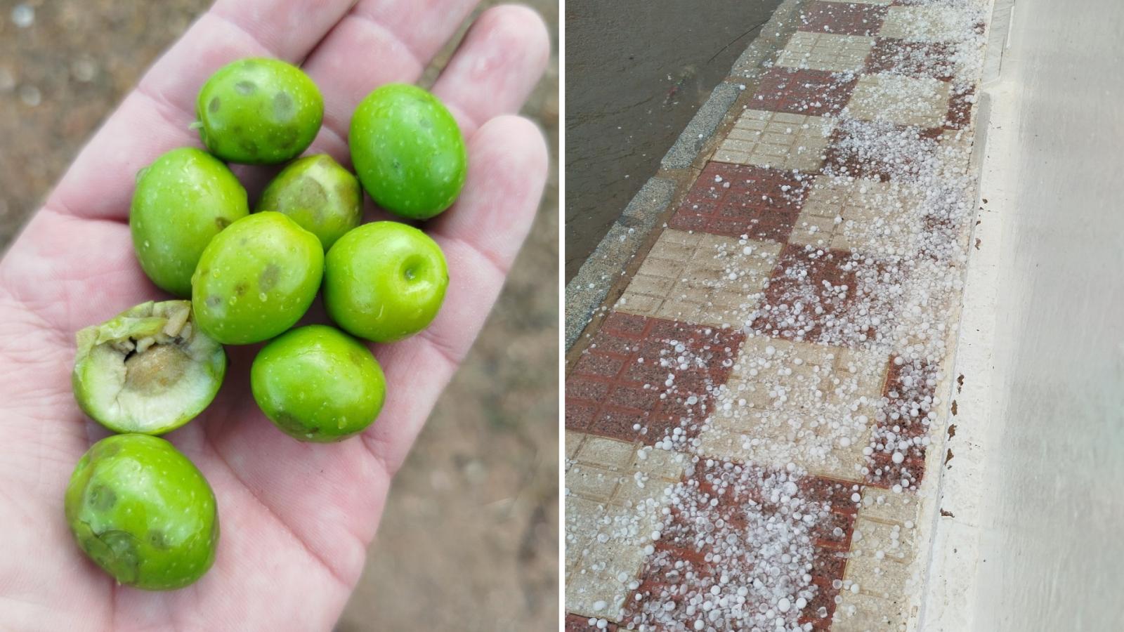 Daños provocado por la tormenta en Los Guadalperales