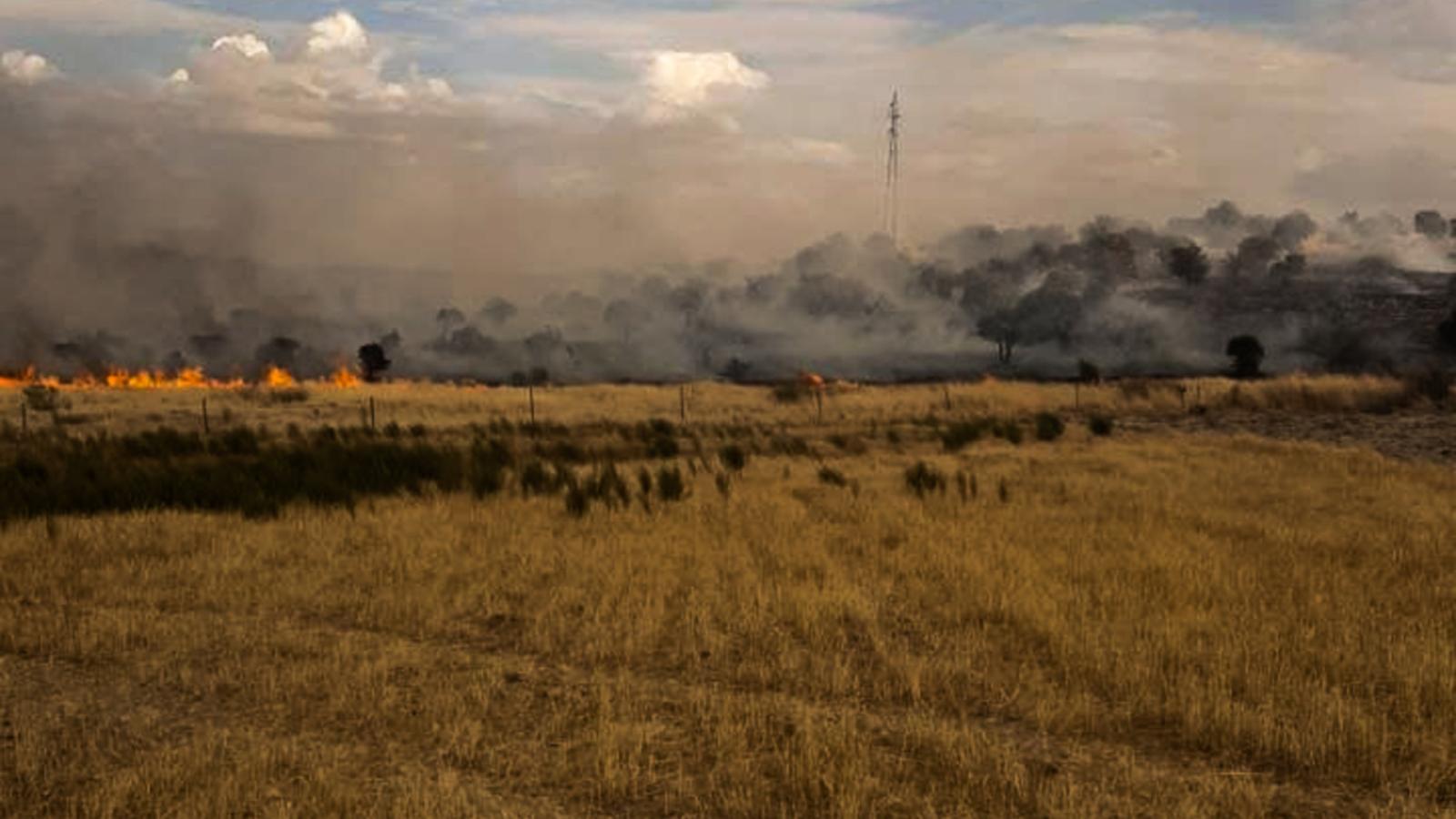 El Plan Infoex interviene en 37 incidentes esta semana, con 13 incendios forestales