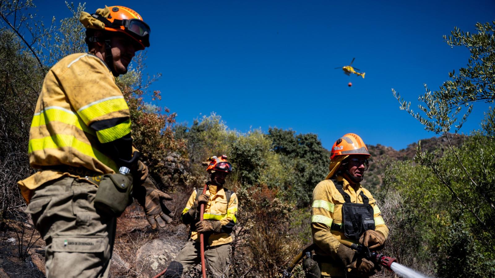 Efectivos del Plan Infoex en un incendio 