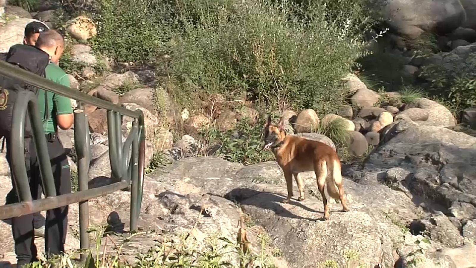 Búsqueda, por parte de la Guardia Civil, del hombre desaparecido en Losar de la Vera