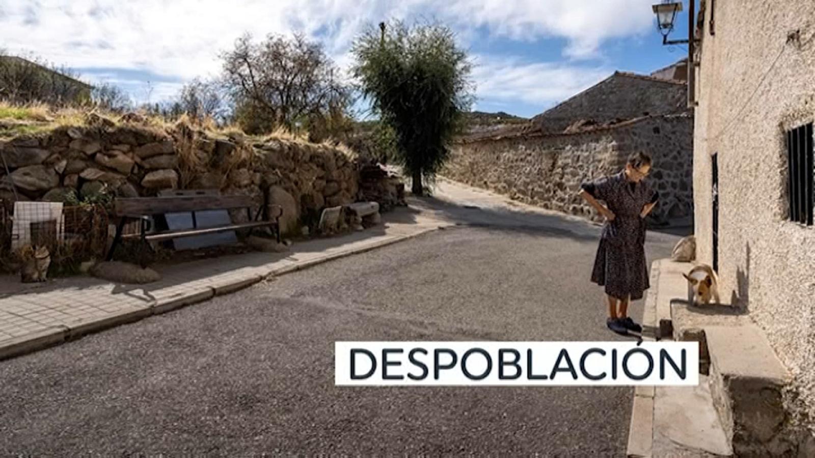 vidi despoblacion