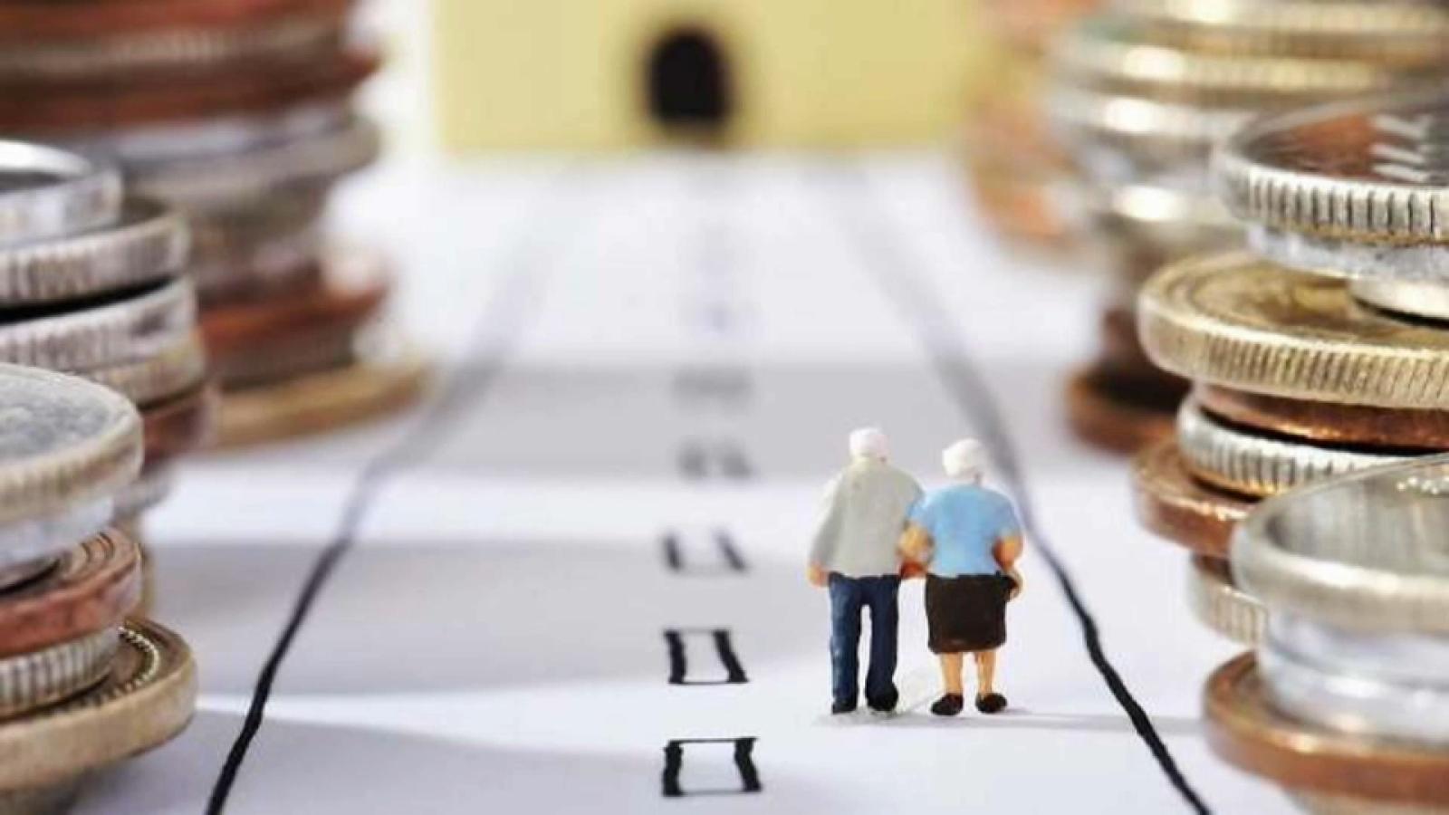 VIDI PENSIONES